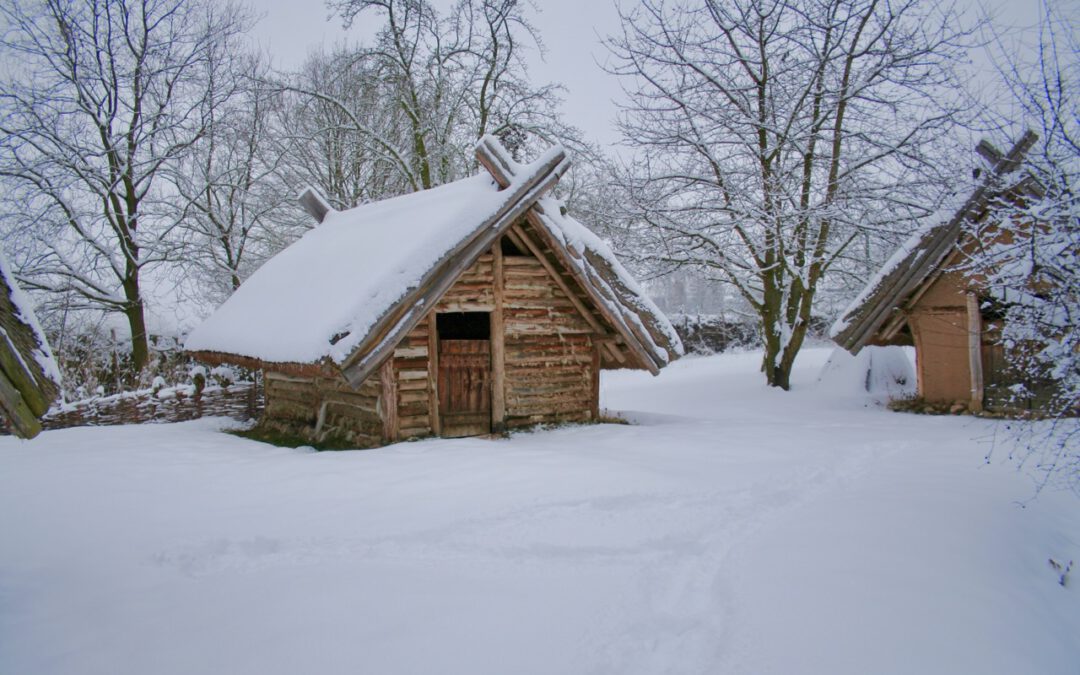 Winterruh im Park Canitz