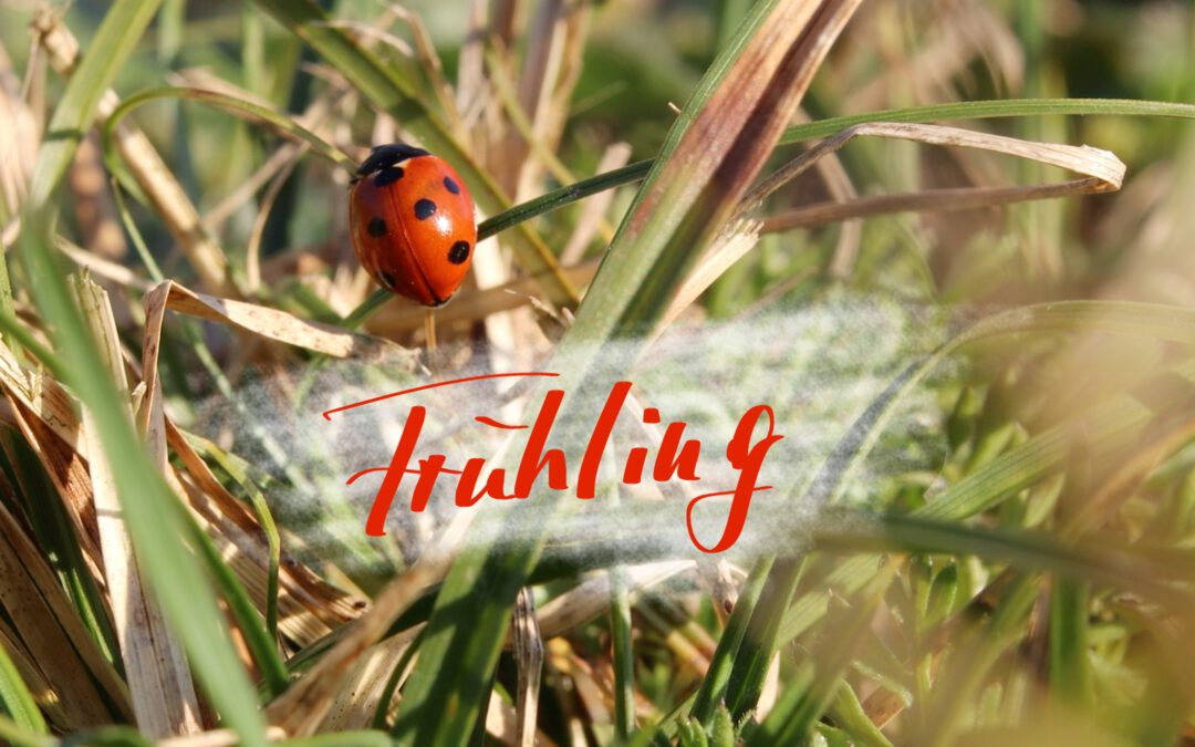 Der Frühling ist da!