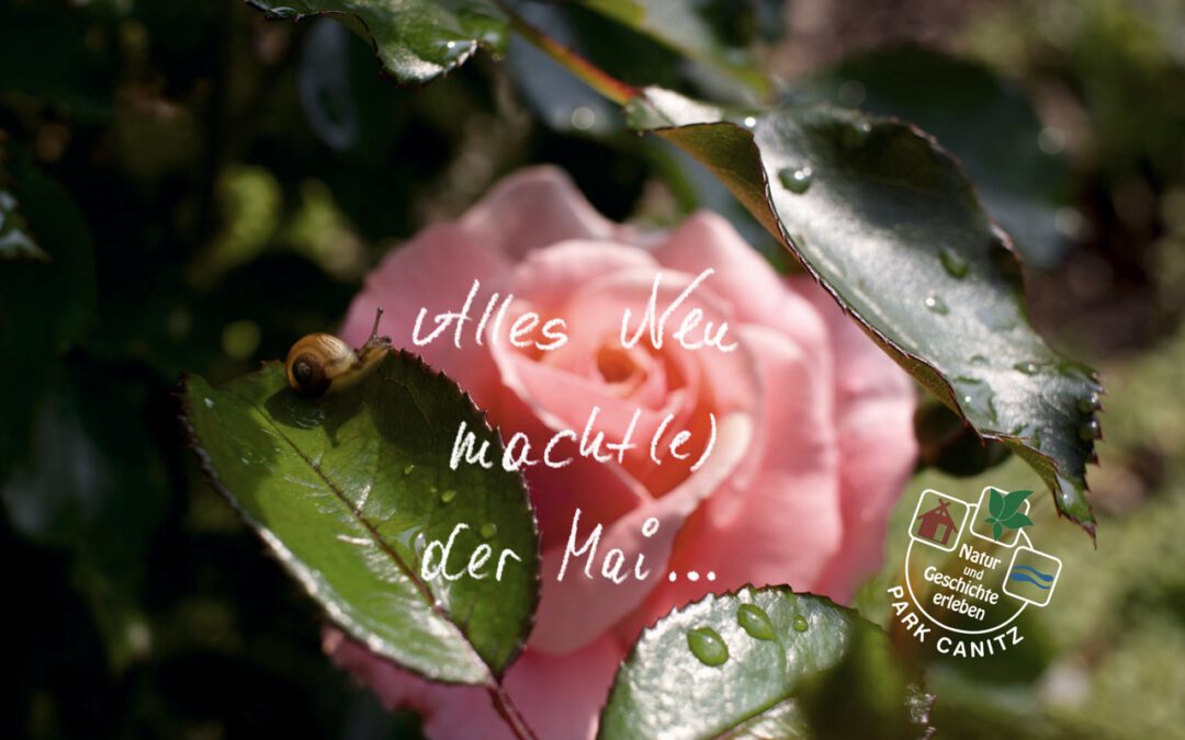 Alles Neu, macht(e) der Mai …