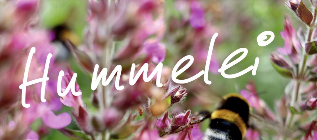 Hummelei