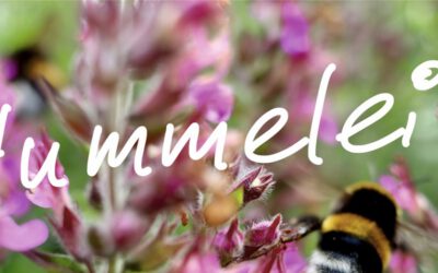 Hummelei