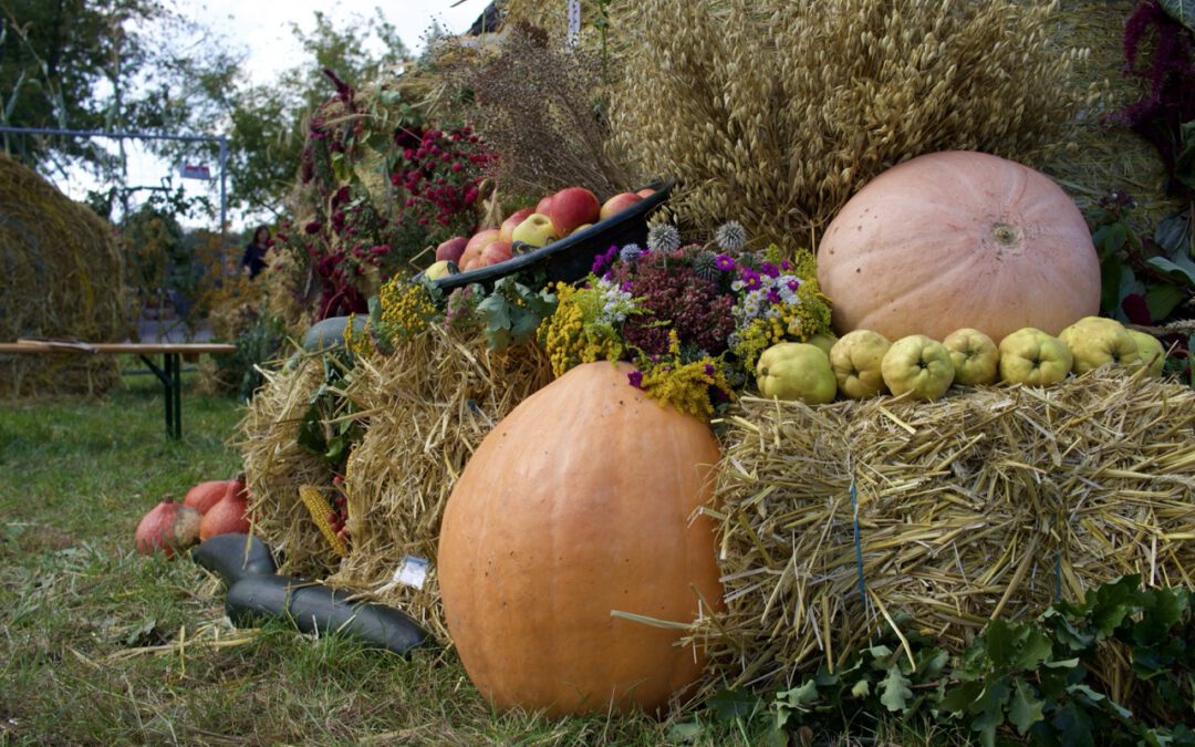 Thallwitzer Erntedankfest 2025