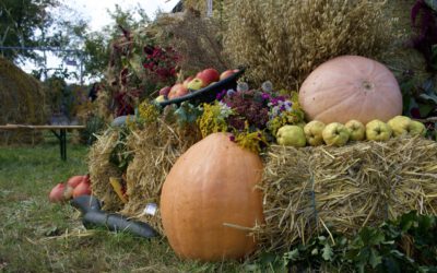 Thallwitzer Erntedankfest 2025