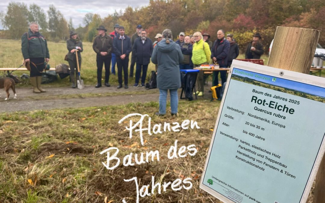 Pflanzen Baum des Jahres 2025