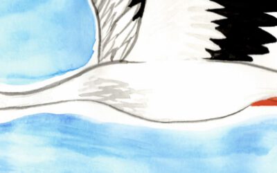 Paul und Clementine 2026